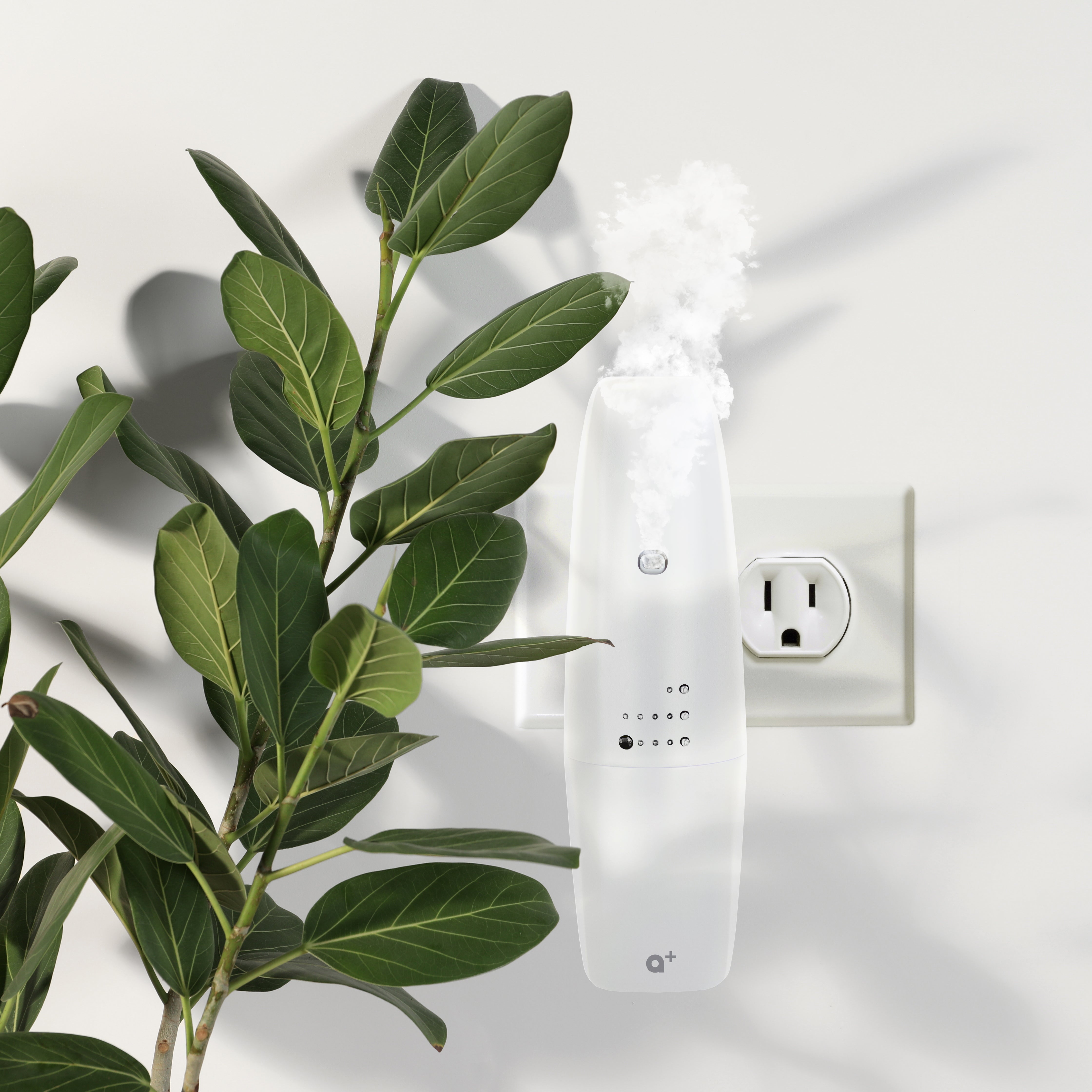 Aromar+ Waterless Plug-in Diffuser White – Aromar.com