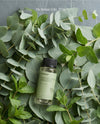 Eucalyptus Whisper | Aromar Plus Diffuser Oil